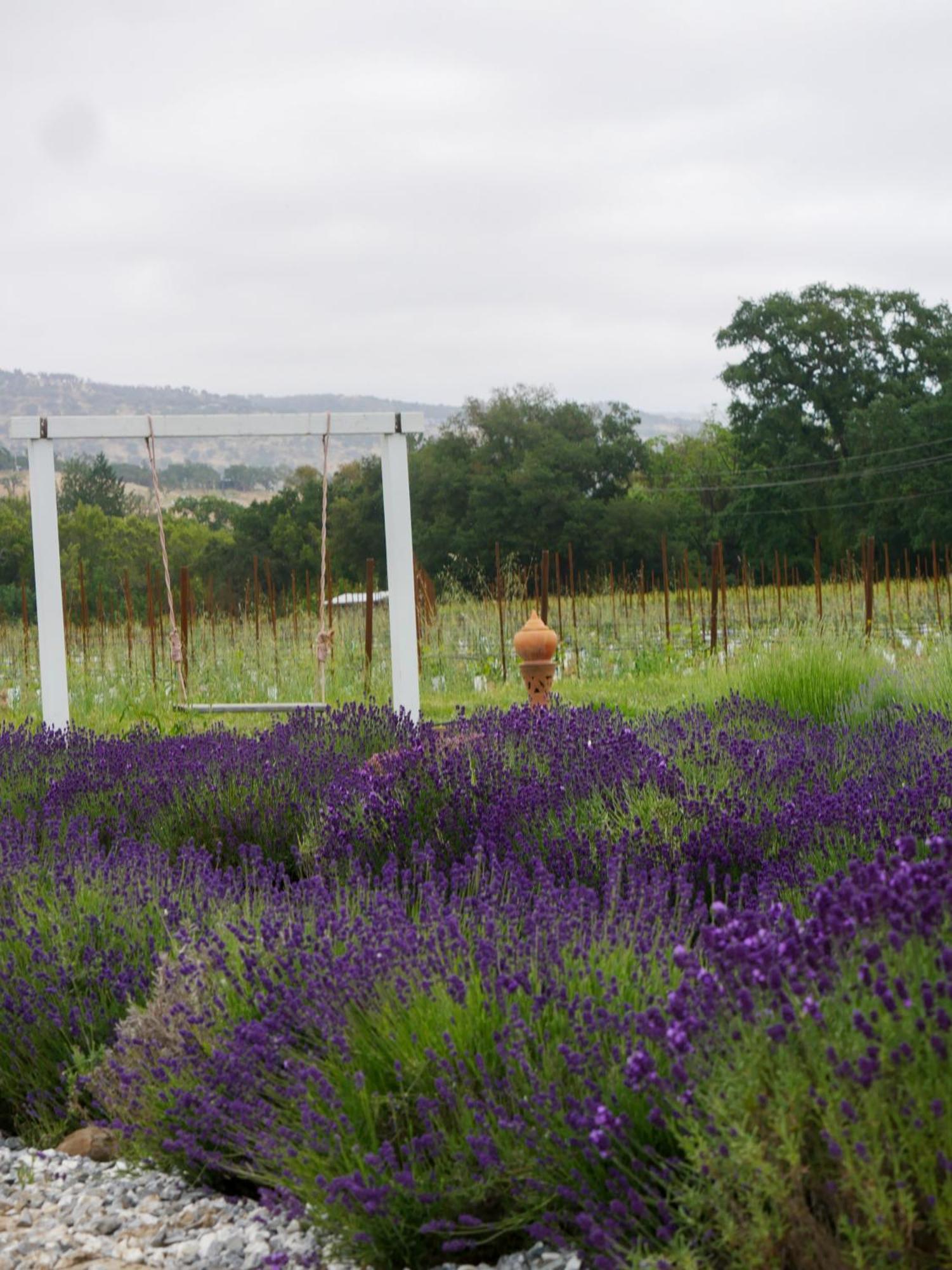 Bed and Breakfast Bann At Oak Knoll Napa Exterior foto