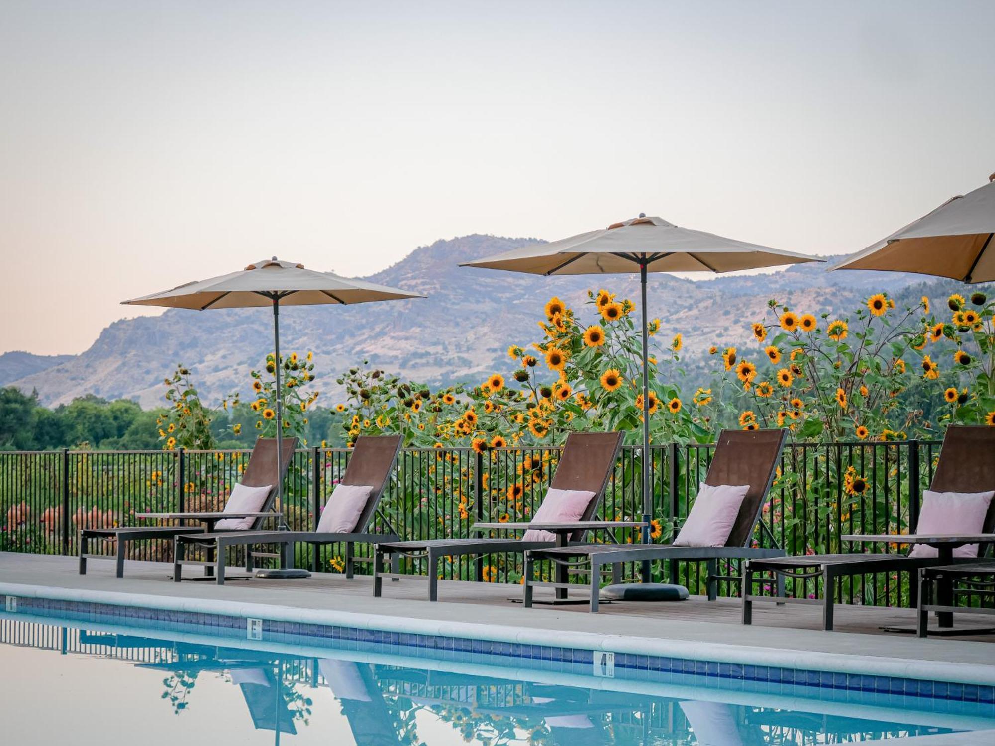 Bed and Breakfast Bann At Oak Knoll Napa Exterior foto